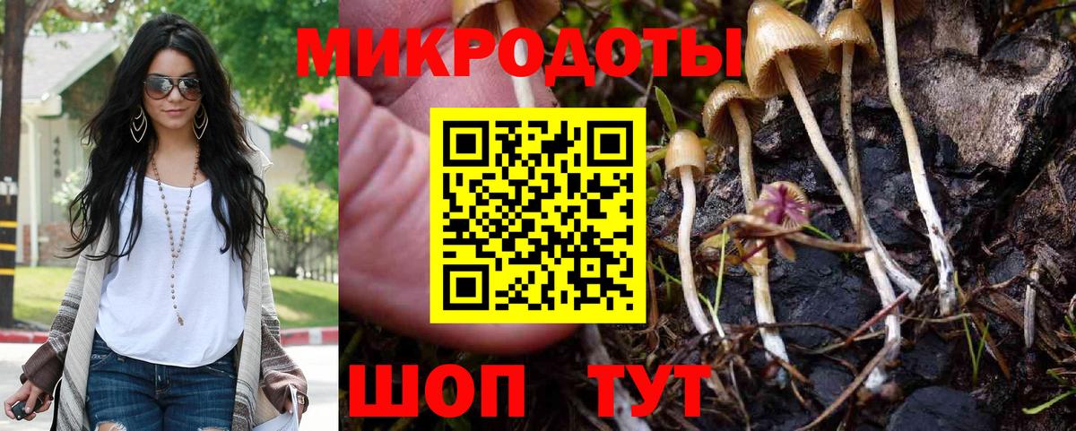 Галлюциногенные грибы Cubensis  наркота  Мытищи  Вход с VPN  Галлюциногенные грибы прущие грибы 