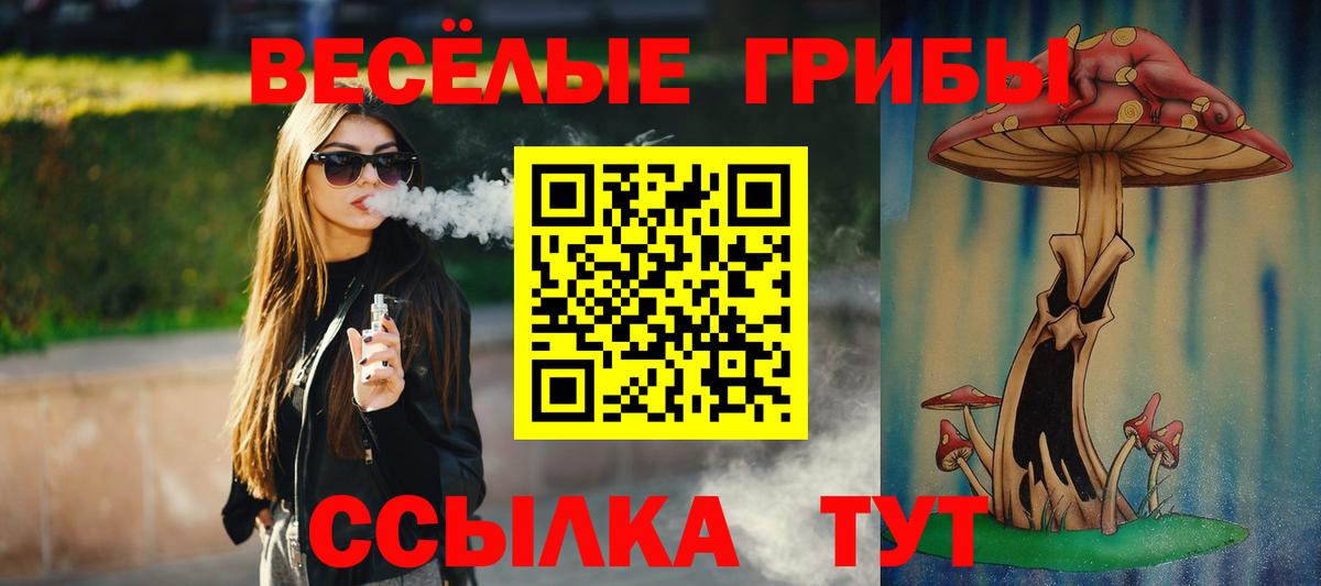 Галлюциногенные грибы Magic Shrooms Мытищи